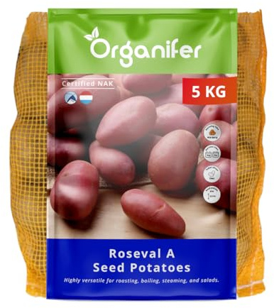 Roseval A 32/40 – 5 kg - Zertifizierte Pflanzkartoffeln für Garten und Anbau – Rote Schale, subtile rote Adern, festkochend, frühes Wachstum, stabiler Ertrag – Organifer