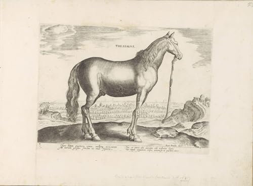 IPLUPJDY Bilder Moderne Kunst Gemälde WandgemäLde Windmühlen von Jan Van Der Straet Leinwand Malerei Poster für Wanddekoration 60x90cm