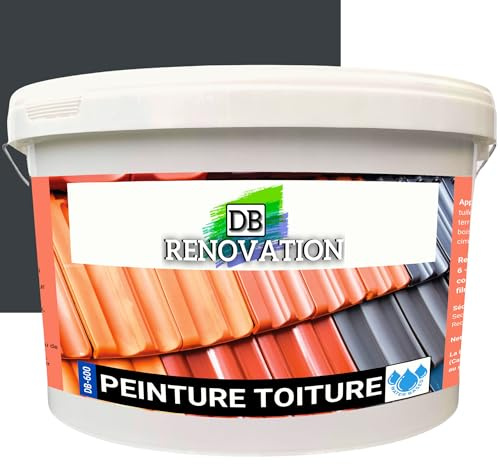 DB Rénovation Peinture Toit Rénovation tuile - Haute imperméabilité toiture 12KG (jusqu'à 120m²) Hydrofuge, Forte protection UV - Gris anthracite