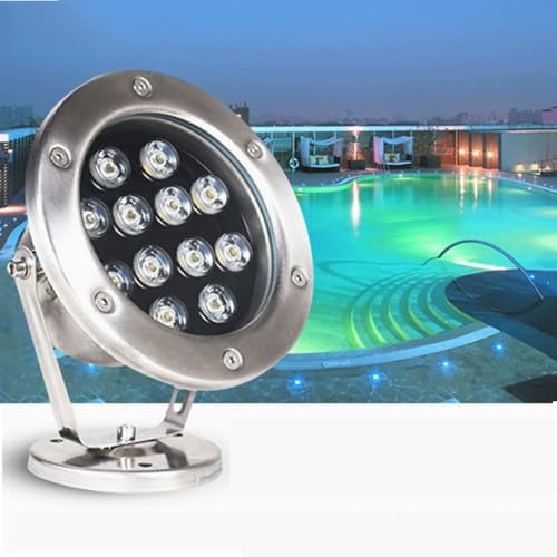 24V Lumière De Piscine Sous-marine - IP68 En Acier Inoxydable Pour Étang, Lumières De Fontaine, Projecteurs Encastrés Extérieurs RVB, Lumières LED Submersibles, Angle Réglable À 360 °(Warm White,24W)