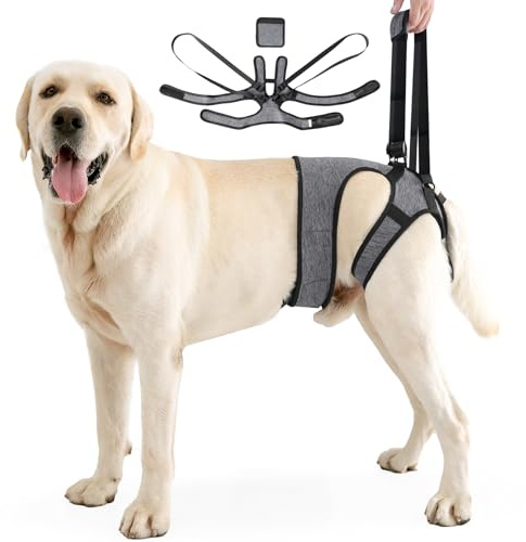 Aide au transport de chien, harnais réglable pour les pattes arrière, harnais portable pour chiens handicapés, blessés ou âgés (taille L)
