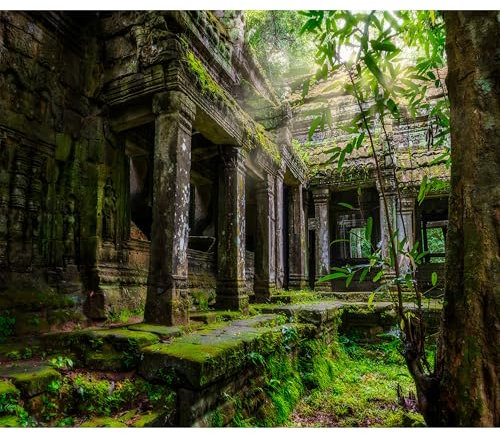 murando - Vlies Fototapete 3d Effekt 400x280cm Foto Tapete Schlafzimmer Wohnzimmer Vliestapete XXL Motivtapeten Bildtapete 3d Effekt Wand Dekoration - Preah Khan Natur Wald Baum d-B-0323-a-a