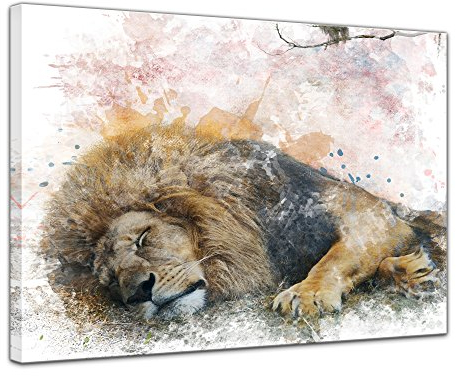 Bilderdepot24 Keilrahmenbild - Aquarell - Löwe II - Bild auf Leinwand 120 x 90 cm einteilig - Leinwandbilder Bilder als Leinwanddruck Tierbild Malerei - Wildtier - schlafende afrikanische Grosskatze