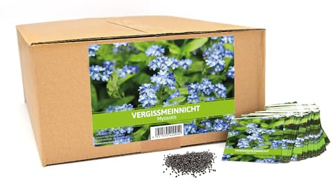 FLORTUS Vergissmeinnicht für Gastgeschenke (500 Tütchen) | Blumensamen perfekt als Dankeschön Geschenke, Werbegeschenke & Gastgeschenke Hochzeit