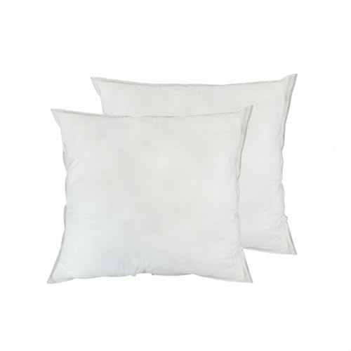 Relleno de Cojín Pack de 2, Rellenos Esponjosidad, Cojín Decorativo para Casa (40x40cm)