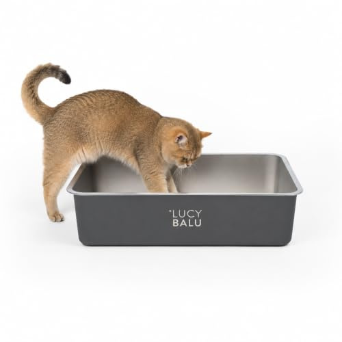 LucyBalu® STEELOO XXL Katzenklo aus Edelstahl offen – Stahlgrau | Extra große offene Edelstahl-Katzentoilette, hygienisch, langlebig, runde Ecken, leicht zu reinigen