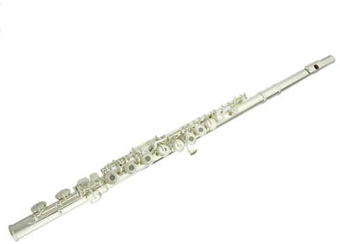 Querflöte Instrument Flöteninstrument Anfänger 16-Loch Versilberte Tastenabdeckung Geschnitzt Offene Flöte Spielen