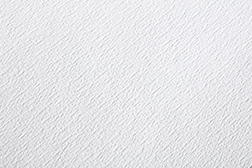 Clairefontaine – Ref 96387C – Etival klassiska korniga lösa ark för akvarellmålning och ritning (25 pappersark) – 50 x 65 cm – 200 gsm cellulosa konstpapper