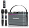 HUABAO Karaoke Machine - 100W Bluetooth Speaker with Super Bass, 2 Wireless Microphones, Portable PA System with LED Lights, TWS Pairing, Bass/Treble/Echo Adjustment, Professional Loudspeaker