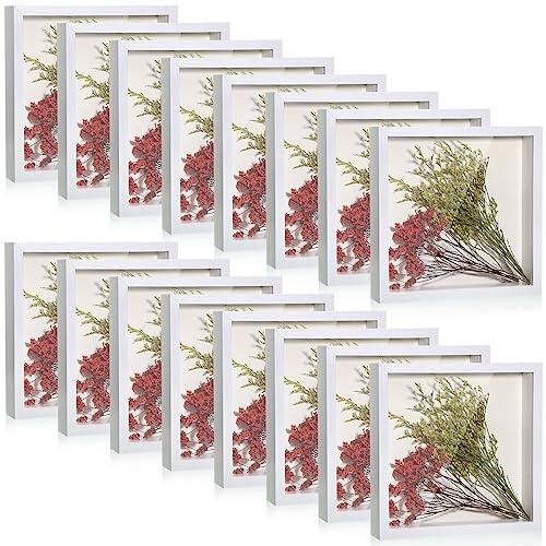 Ripeng 16 Pack Shadow Box Frame Display Case Picture Frame for Wedding Bouquet, Teacher Crafts, Photo, Ticket, Valentine, Mother Day, Medal, DIY Wall or Tabletop Gift(8 x 8 Inch,White)