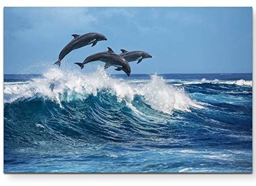 Leinwandbilder | Bilder Leinwand 120x80cm springende Delphine