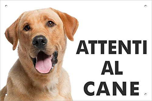 Pubblimania Cartello Attenti al Cane Labrador - Targa Segnaletica in Alluminio composito 3 mm di spessore - Resistente alle Intemperie e ai Raggi UV - Fori Pre-perforati (Cm 15x20)