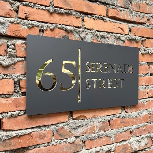 Personalisierbares Hausnummernschild für den Außenbereich, mattes Schild, Spiegeltext, Acryl, 3D-Laserschnitt, Straße, Familienname, Hausschild (20 x 40 cm)