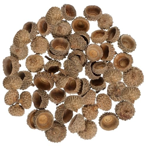 DOITOOL 150 tapas de bellota naturales para manualidades (1-2,5 cm), adornos de concha de bellota seca para rellenar jarrones, para otoño, Navidad, Acción de Gracias, decoración del hogar.