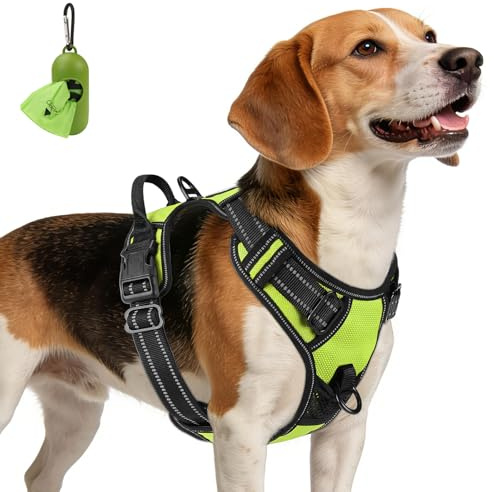 Joytale Anti-Zug Hundegeschirr für mittelgroße Hunde, Grün, M | Perfekter Sitz, gepolstert & reflektierend, 2 Anleinpunkte (vorne & hinten), Haltegriff für Treppen & Auto, für Training