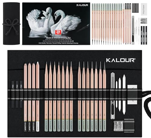 KALOUR Set professionale per schizzi e disegni a carbone, 29 pezzi, forniture artistiche con 14 matite di grafite, strumenti di carbone e borsa in tela