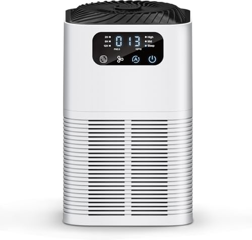 Luftreiniger HEPA-Filter Aktivkohlefilter, Luftreiniger Allergiker, Aromatherapie, Entfernt Wirksam Schimmel, Pollen, Rauch Sowie Partikel kleiner als 0,3 µm, Air Purifier mit Timer, 8 Watt, 22dB