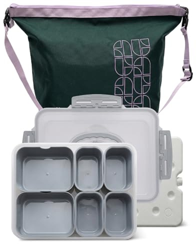 GIRAFFYCO Tragbare Snackbox mit Kühltasche, Kühlakku & 6 Fächer | Herausnehmbare Fächer mit separaten Deckeln, BPA-freie Snackbox für Picknick, Reisen & Ausflüge, Grau Blau