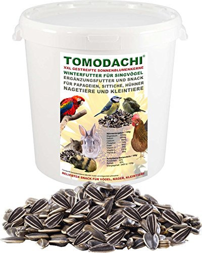 Vogelfutter, Vogelsnack, Sonnenblumenkerne extragroß, Wintervogelfutter, Energiefutter Singvögel, Vogeldelikatesse, Wildvogelfutter, Tomodachi® Sonnenblumenkerne gestreift XXL, 1kg Eimer