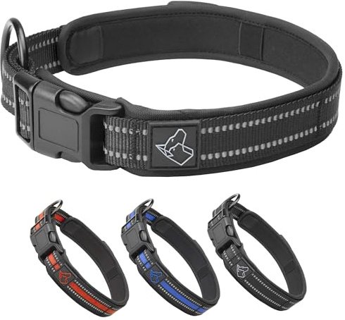 TickTrick Hundhalsband med integrerad fästingbandshållare – träningshalsband för hundar av robust nylon – reflekterande – S–XL – svart, röd, blå – för små och stora hundar (svart, XL)