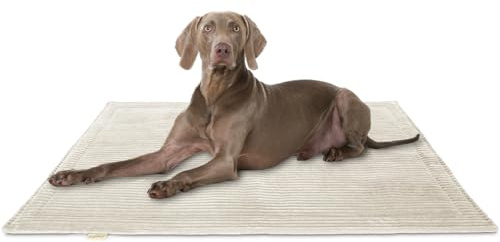 Knuffelwuff Hundedecke Timor 80x60cm Beige - Bequeme und Pflegeleichte Liegedecke aus weichem Cord - waschbar - für große, mittelgroße und kleine Hunde