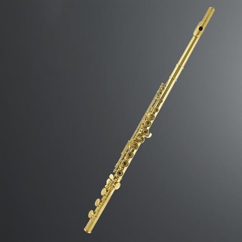 Querflöte Gold 16 Geschlossene Löcher 17 Offene Löcher Flöte Gebogene Tasten + E-Taste Geteilte Flöte C-Taste Anfänger Professionelle Qualität Testleistung(17 Hole)