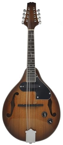 Professional Adult Mandolin Instrument Professional Musical Instrument Mandolin For Beginners Eight-string Electric Mandolin Performance Instrument(C)