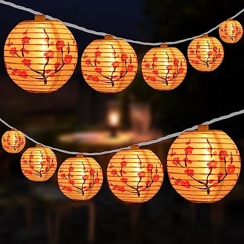 HOSY 10 Count Lantern with 11' White Wire String Lights, 12 Spacing Plug-in Lantern String Lights (Plum Blossom)