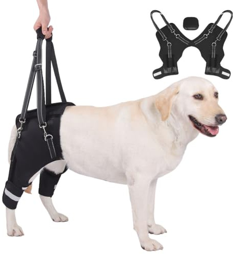 HGTRH Hunderollstuhl, Hinterbeinstütze mit Memory-Feder Gehhilfe für Seniorenhunde und Hunde mit Bewegungseinschränkung Verstellbar für Hüftgelenksdysplasie und Arthritis, Reflektierend XL