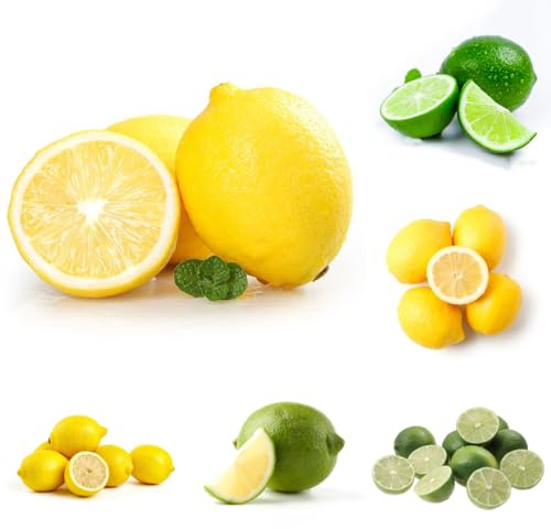 semillas de limonero - huerta en espaldera de jardín rocas balcón variedades antiguas Limonero semillas jardín extraño 200pcs