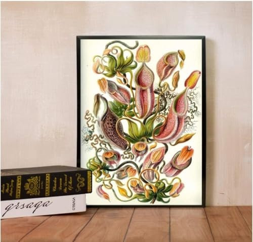 MYLHMPPJH Wall Art Carnivorous Plant Poster Nepenthaceae Tropical Pitcher Plants Monkey Cups Prints Wall Art Painting Canvas Picture Decor Posters And Prints Wall Décor - 50X70Cm