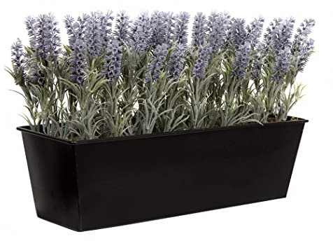 GreenBrokers Lavender Window box Tin Trough Container Planter-45cm, Black, 45cm
