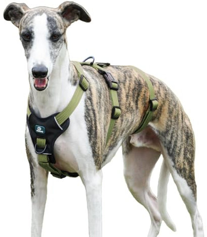 Paworld Sicherheitsgeschirr Hund, Anti Zug Hundegeschirr, Panikgeschirr für Hunde, Ausbruchsicheres Geschirr Hund, Verstellbare, Atmungsaktiv Weste für kleine, mittelgroße und große Hunde (Grün,M)