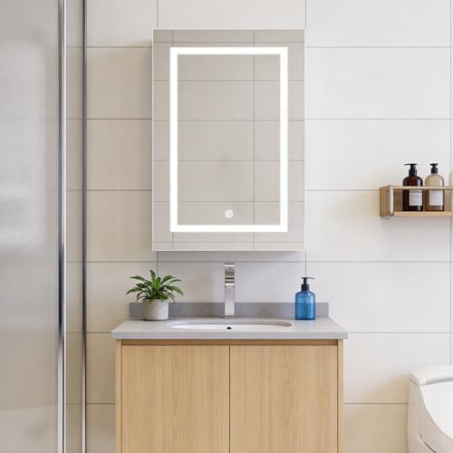 Plcnn Armoire Murale Salle De Bain avec Miroir et LED, Armoire de Toilette Miroir, Armoire Pharmacie Miroirs avec Étagère Réglable,Température de Couleur Réglable (50x70x14 cm)