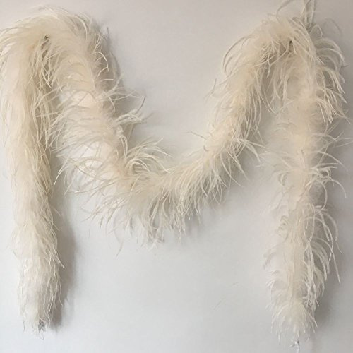 Sowder Boa de plumas de avestruz de 183 cm de largo para decoración de bodas/fiestas, plumas, Marfil, 10 * 10 * 0.5