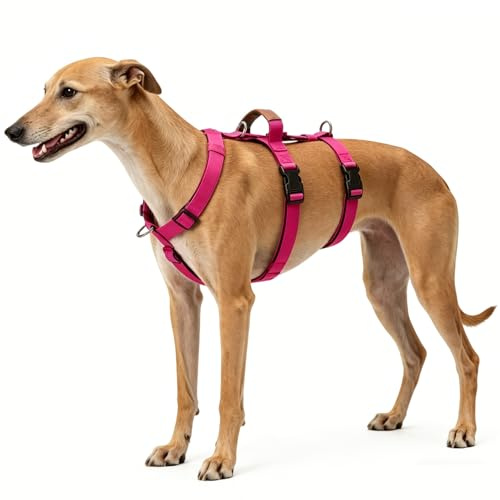 Ausbruchsicheres Hundegeschirr, 3-Punkt Anti-Zug Sicherheitsdesign, Verstellbares Brustgeschirr mit Griff und Schnellverschluss, für Große Hunde, Outdoor & Training (Rosa, XL)