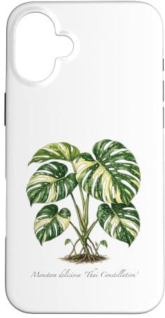 Monstera Thai Constellation plant illustration Case for iPhone 16 Plus