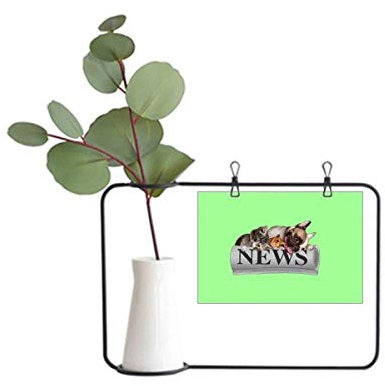 OFFbb-USA Rollo Periódico Pet Group Marco de fotos de metal Florero de cerámica Decoración