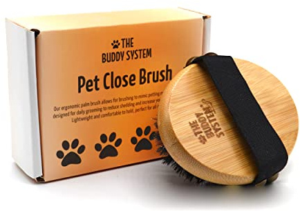 The Buddy System Pet Close Brush, Soft Touch Oval Palm Brush - Bamboo Massage Handheld with Soft Boar Bristles and Elastic Band for Dogs and Cats