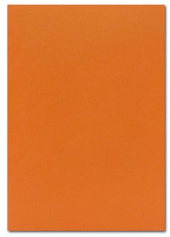 25 DIN A4 Bastelkarton - Terracotta (Orange) - 225 g/m² - 21 x 29,7 cm - Ton-Papier Fotokarton Bastel-Papier Ton-Karton - FarbenFroh