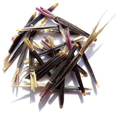 Oeillet d'Inde Sauvage - Tagete Nematicides Patula (Engrais Vert) SEM03