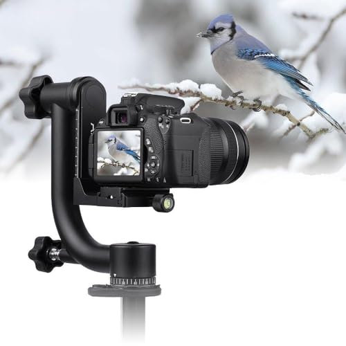 CHENTON Heavy Duty Metal Panoramic Gimbal Tripod Head with Arca-Swiss Standard Quick Release Plate Aluminum Alloy, Support 30Lbs/13.6kg for DSLR Camera Camcorder Bird Watching