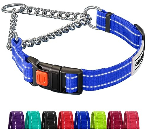 CollarDirect Martingale Dog Collar with Stainless Steel Chain and Quick Release Buckle - Reflective Collar for Large, Medium, Small Dogs - Blue, Small (Neck Size 12-15)