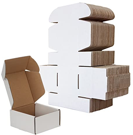 RLAVBL 4x4x2 Shipping Boxes Set of 100, White Small Corrugated Cardboard Box, Mailer Box