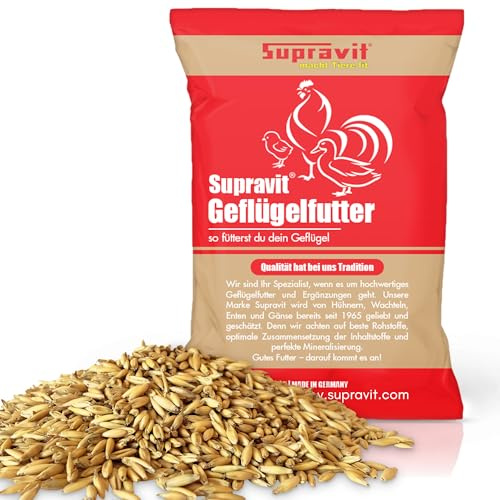 Supravit Hafer ganz 25kg | Frischer gelber Futterhafer | natürlich & ungeschält für Geflügel,Pfere & Nager| staubfrei & riecht gut I Energie & Kraftfutter