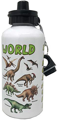 Mr. Gadgets Gourde en aluminium avec mousqueton et fermeture hermétique sans substances nocives – Capacité 500 ml – Avec graphisme mignon Dinosaures (Mod. 2)