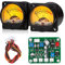 Dual Analog VU Meter DB Panel Schallpegelanzeige mit Treiberplatine für DIY-Verstärker