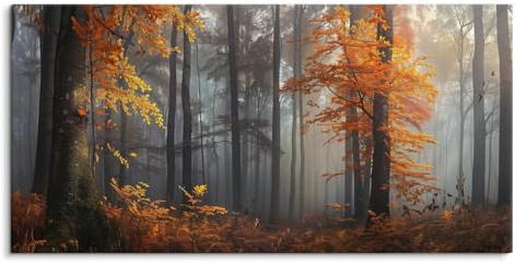 Paul Sinus Wandbild auf Leinwand in 120x60cm Herbst Nebel Wald Morgenlicht Blätter Natur Stimmung Leinwandbild