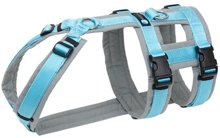 Anny-X Brustgeschirr Safety Fun Grau-Eisblau | Ausbruchsicheres Hundegeschirr mit Taillengurt | Größe S (Brustumfang 52-64 cm)