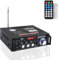Mini Bluetooth Amplificador Audio, 600W HiFi de 2.0 Canales Audio Stereo Music Reproductor, SD Card/USB Input/FM Radio, para PC, TV, Amplificador Coche, casa Altavoz, subwoofer BT 12v 220V (600W)